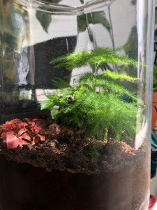 167E8D75-7B37-47CC-8380-D3E08CF2483C